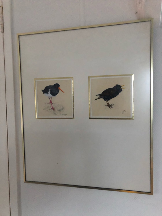 Image 1 of 2x Ronald Halier Vögel