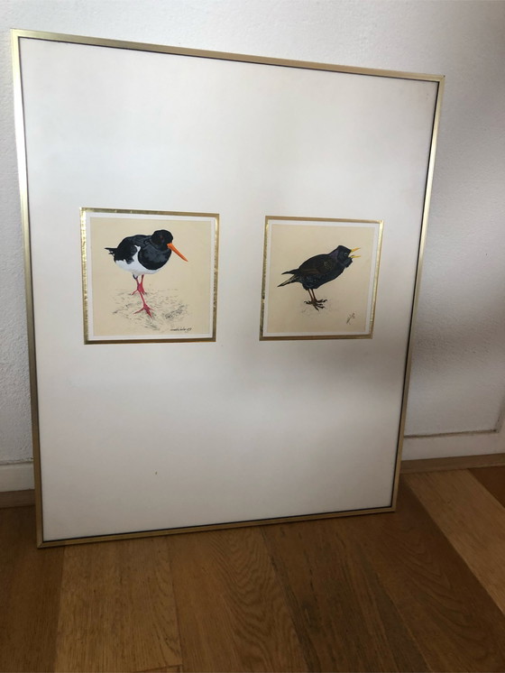 Image 1 of 2x Ronald Halier Vögel