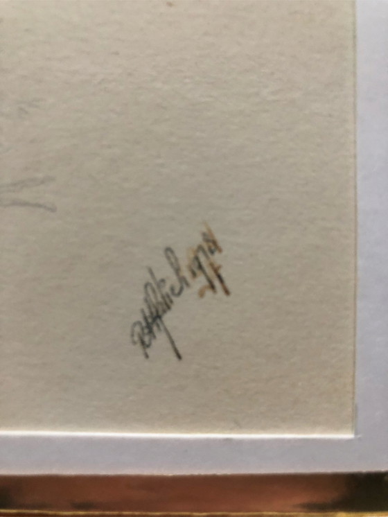 Image 1 of 2x Ronald Halier Vögel