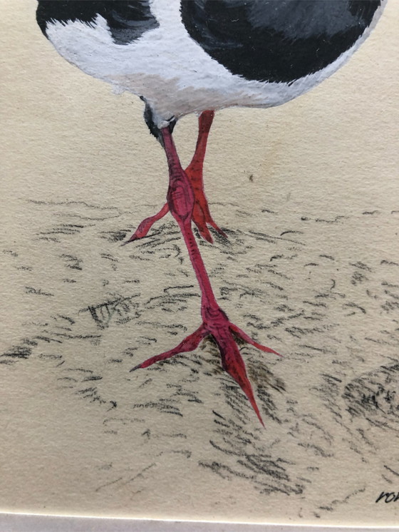 Image 1 of 2x Ronald Halier Vögel