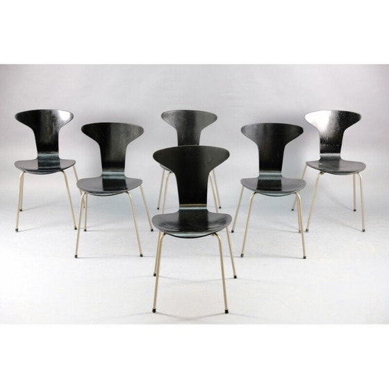 Image 1 of 6 Stühle aus Holz für den Essbereich von Arne Jacobsen für Fritz Hansen, 1959