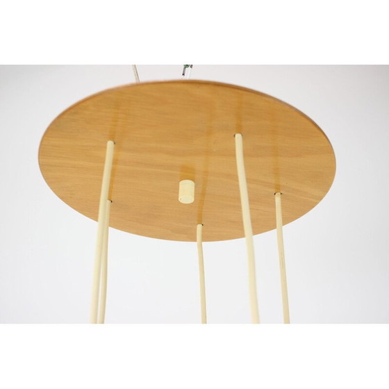 Image 1 of Verstellbarer Vintage-Kronleuchter aus Holz und Kunststoff von Pokrok Žilina, Tschechoslowakei 1970