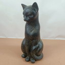 Bild der Katze - By Design Austin Productions