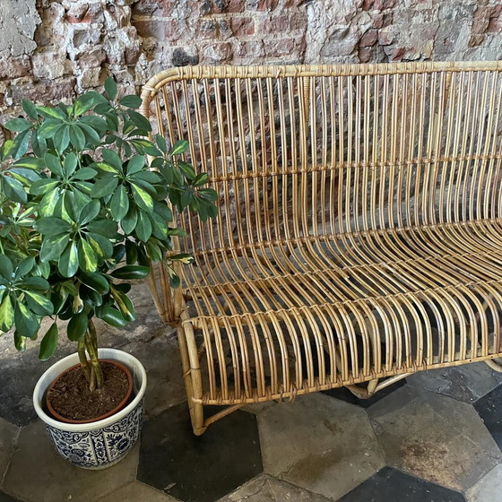 Image 1 of Vintage Belse 8 Rattan 3-Sitzer