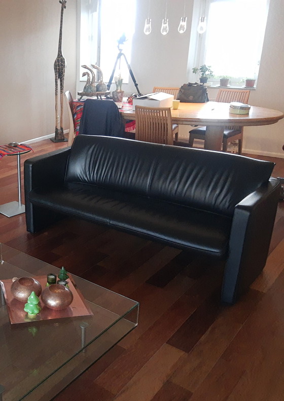 Image 1 of Leolux-Bänke - 2 Stück