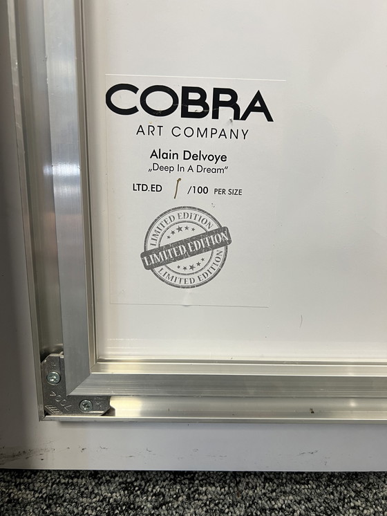 Image 1 of Cobra Art Fotokunstwerk -Tief in einem Traum'