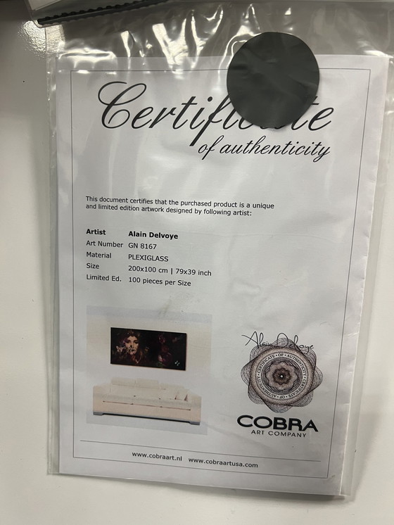 Image 1 of Cobra Art Fotokunstwerk -Tief in einem Traum'