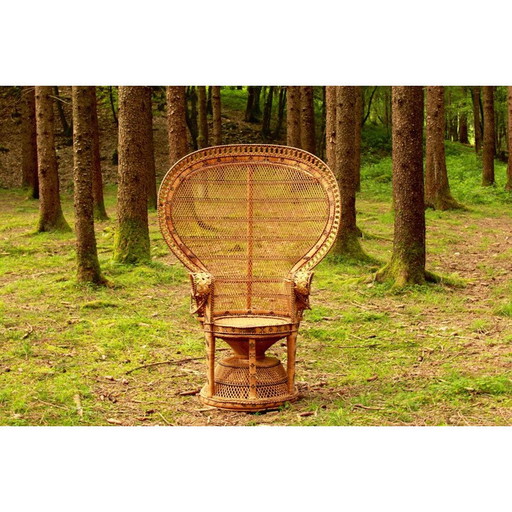 Vintage Emmanuelle Peacock Stuhl Italien 1970er