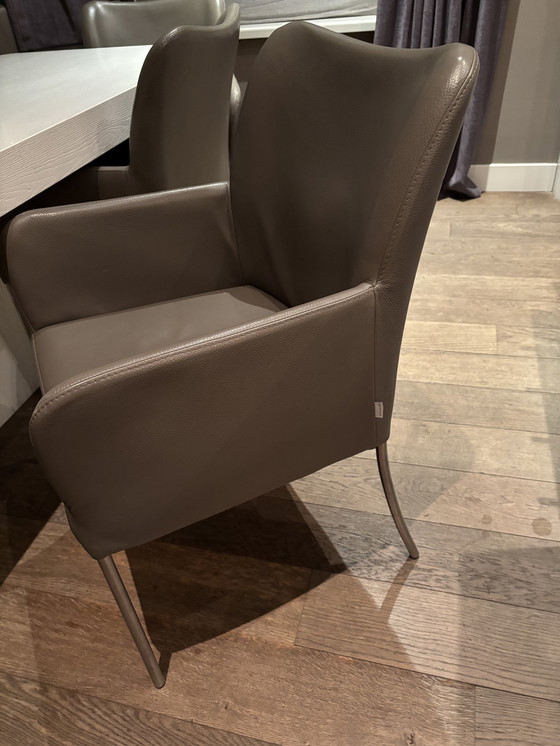 Image 1 of 8X Bert Plantagie Esstischstühle