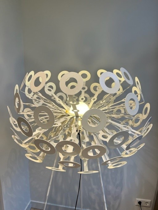 Moooi Löwenzahnlampe