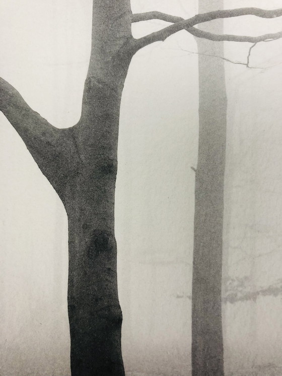 Image 1 of Ralph Janowski – Fotodruck