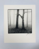Ralph Janowski – Fotodruck