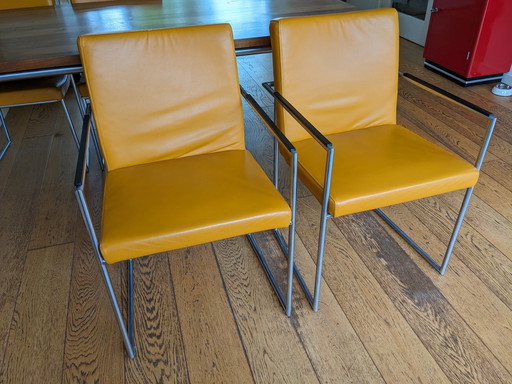 4x Harvink Type Point und 2x Comma Ockergelb