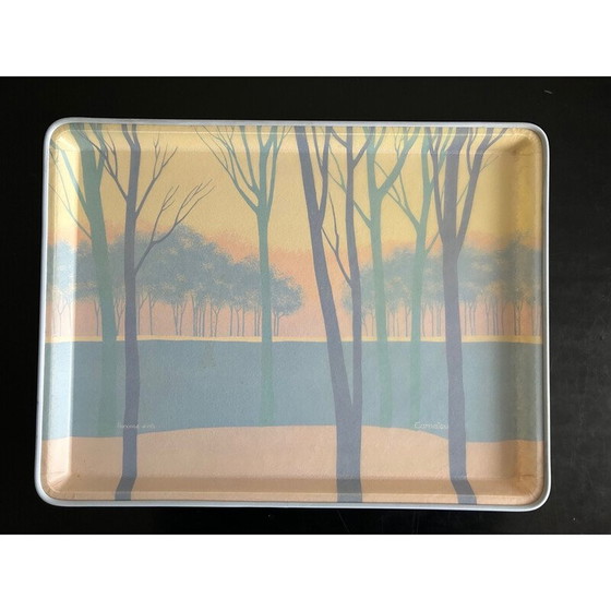 Image 1 of Vintage-Tablett aus Fiberglas von Françoise Wintz für Alpac, 1980