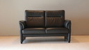 Prominentes 2-Sitzer-Leder
