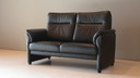 Prominentes 2-Sitzer-Leder
