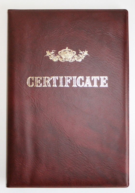 Image 1 of Naoki Tominaga – Coq Divin Rooster