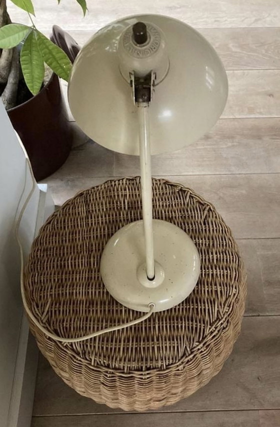 Image 1 of Idel Kaiserlampe