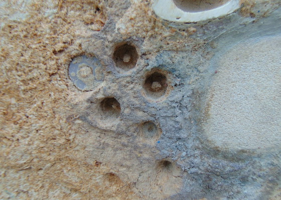 Image 1 of Marja van Riel - Anderswo