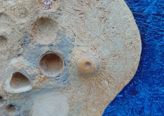 Image 1 of Marja van Riel - Anderswo