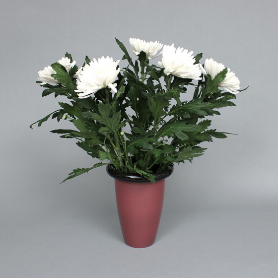 Image 1 of Paul Schudel (1951) Kv Vase, entworfen 1994, ausgeführt von Designum