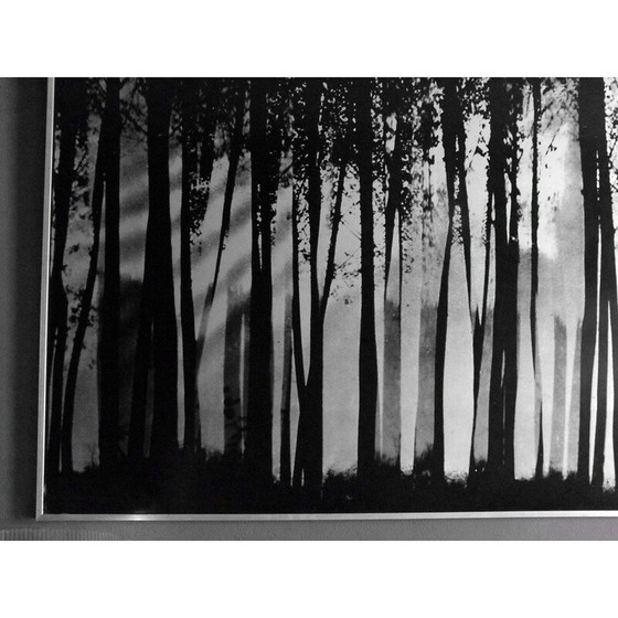 Image 1 of Vintage Gemälde Fontana Franco Entwurf von Almar Milano , Italien 1976