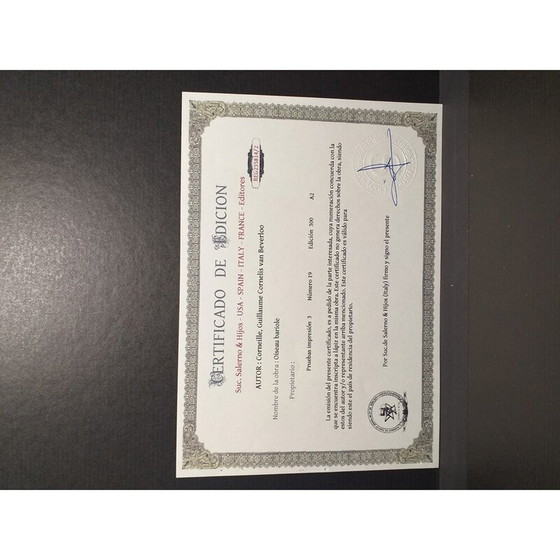 Image 1 of Klassische Lithographie "Oiseau Bariole" von Corneille, 2010