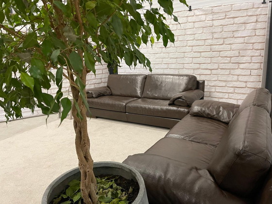 Image 1 of Natuzzi Braunes Echtes Leder 3 + 2,5 Sitzer Sofa