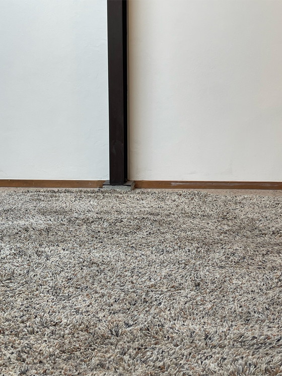 Image 1 of Brink in Campman Flamenco Tapijt