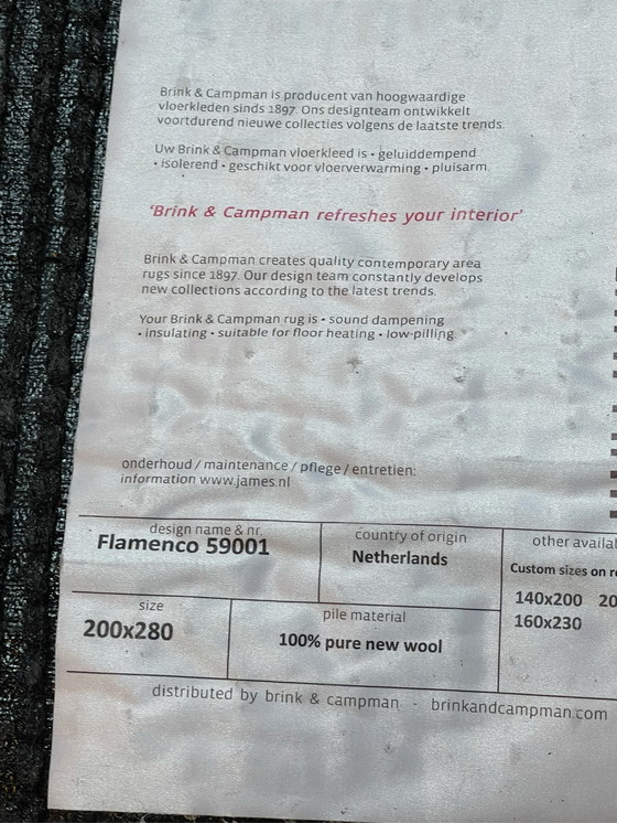 Image 1 of Brink in Campman Flamenco Tapijt