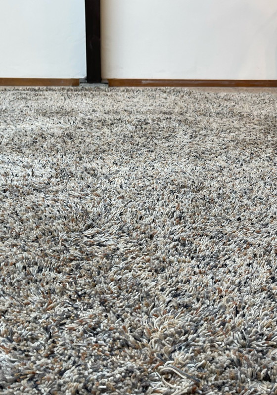 Image 1 of Brink in Campman Flamenco Tapijt