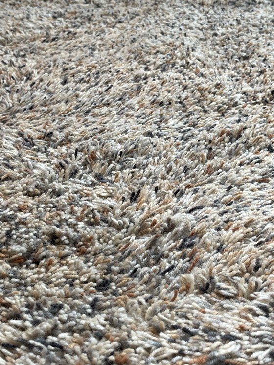 Image 1 of Brink in Campman Flamenco Tapijt