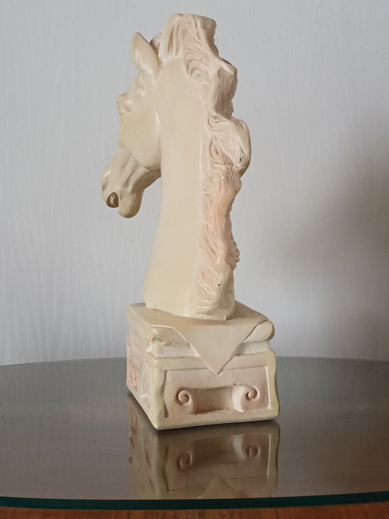Image 1 of Pferdebüste aus Gips Xx.