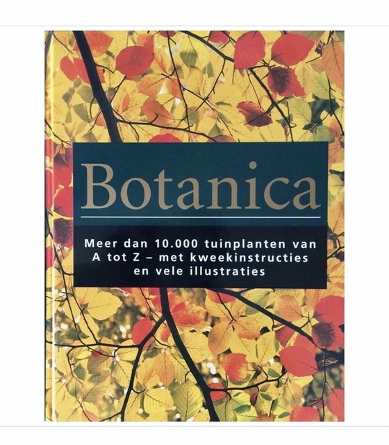 Image 1 of Botanica