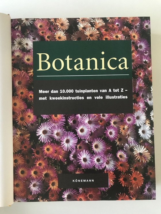 Image 1 of Botanica