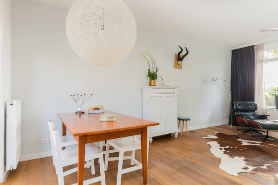 Image 1 of 8x AVL Shaker-Stuhl