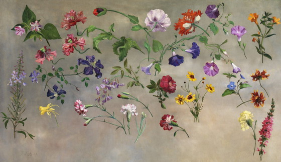 Image 1 of Laurent Agasse ----Flowers