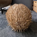 Mid Century Meer Urchin Tischlampe