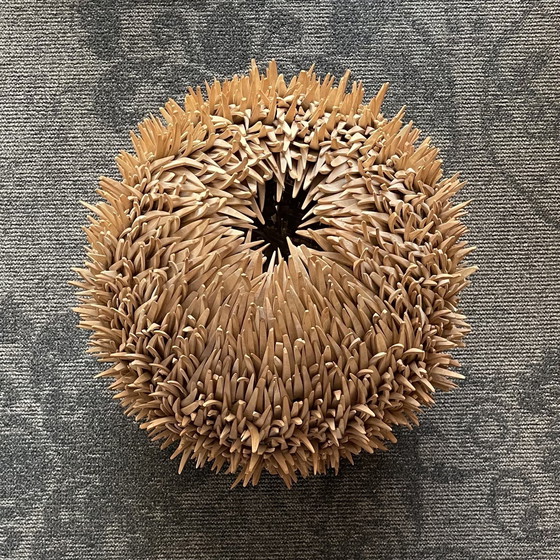 Image 1 of Mid Century Meer Urchin Tischlampe