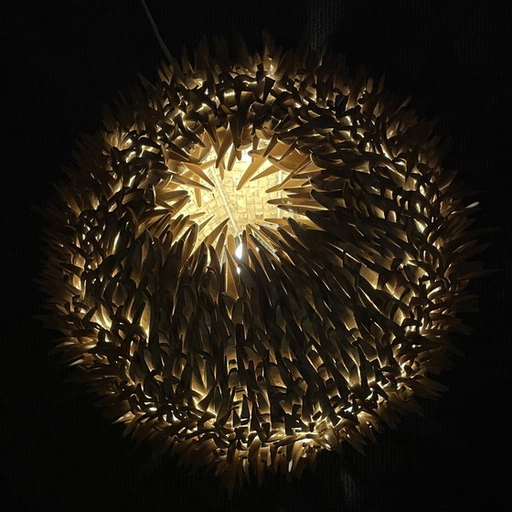 Image 1 of Mid Century Meer Urchin Tischlampe