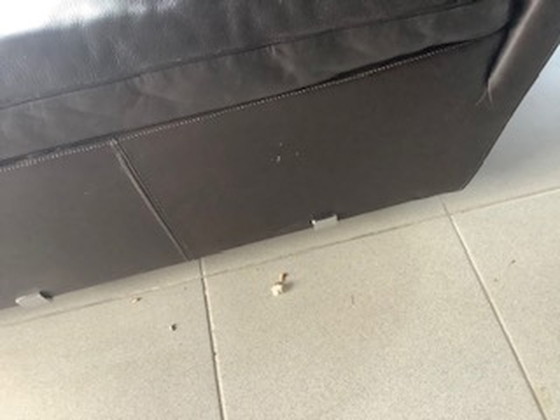 Image 1 of Ecksofa Durlet