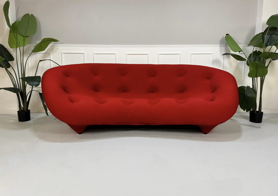 Image 1 of Ligne Roset Ploum Designer Sofa Rot Couch 4 Sitzer