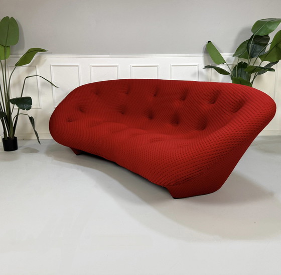 Image 1 of Ligne Roset Ploum Designer Sofa Rot Couch 4 Sitzer