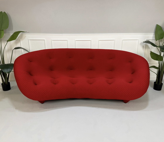 Image 1 of Ligne Roset Ploum Designer Sofa Rot Couch 4 Sitzer