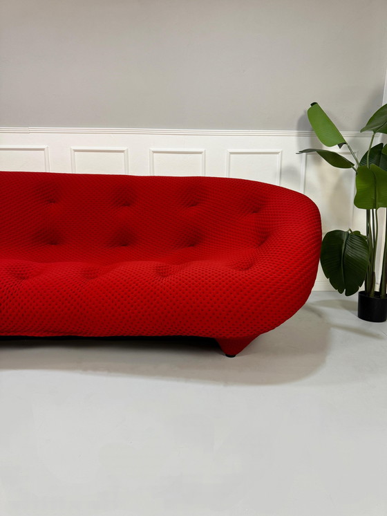 Image 1 of Ligne Roset Ploum Designer Sofa Rot Couch 4 Sitzer