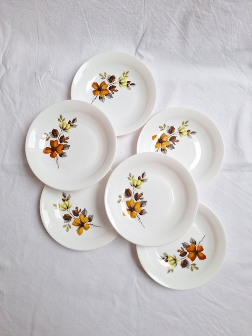 Tiefe Teller Arcopal Vintage