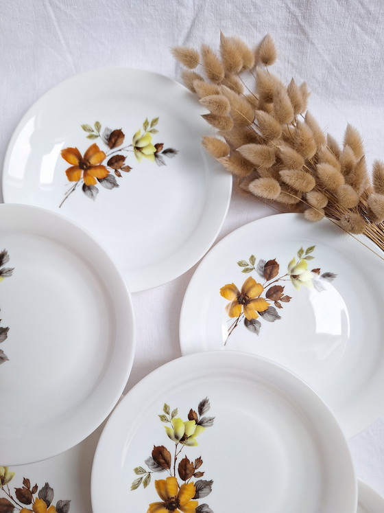 Image 1 of Tiefe Teller Arcopal Vintage