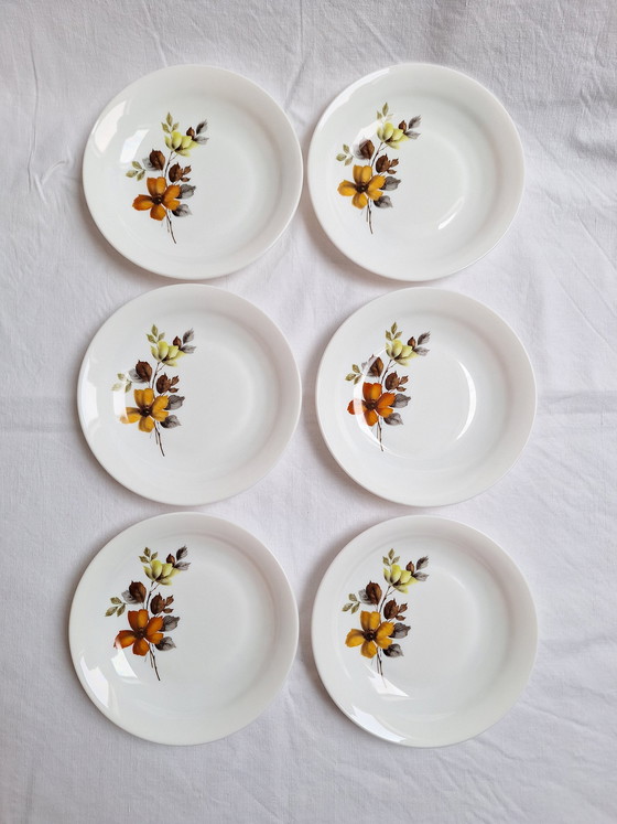 Image 1 of Tiefe Teller Arcopal Vintage