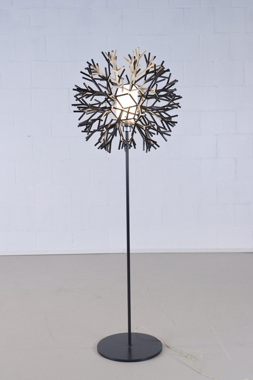 Pallucco Plantana Coral Stehleuchte