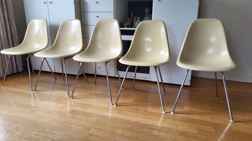 5x Herman Miller Eames Fiberglasstuhl